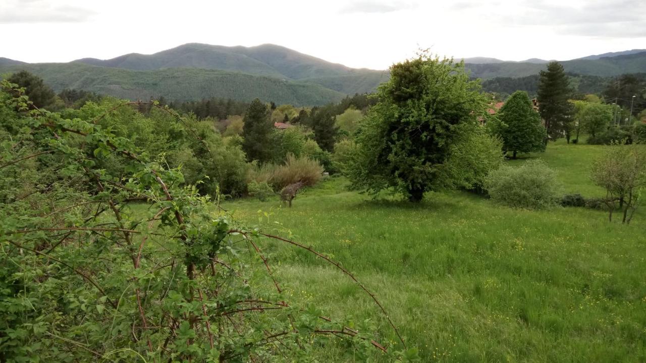 Casa Bartolacci Charme In Bivigliano Екстер'єр фото
