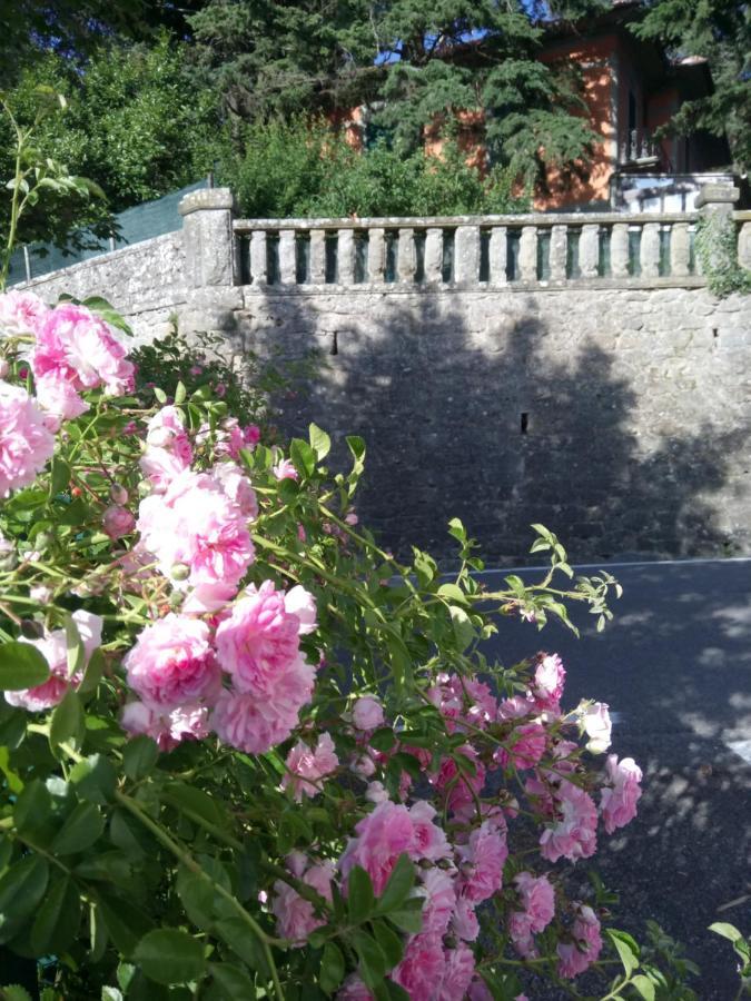 Casa Bartolacci Charme In Bivigliano Екстер'єр фото